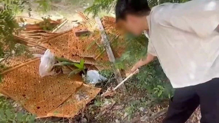 Mùi hôi thối bốc lên khắp huyện, người dân đi kiểm tra thì phát hiện cảnh tượng kinh hoàng Ảnh 1