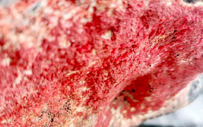 Tảng đá 'nở hoa' khiến dân mạng cả nước xôn xao, dân ùn ùn kéo đến chiêm ngưỡng Ảnh 2