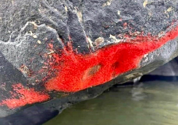 Chính quyền xã Tiên An cho biết theo các nhà khoa học thì đây chỉ là địa y mọc trên đá.