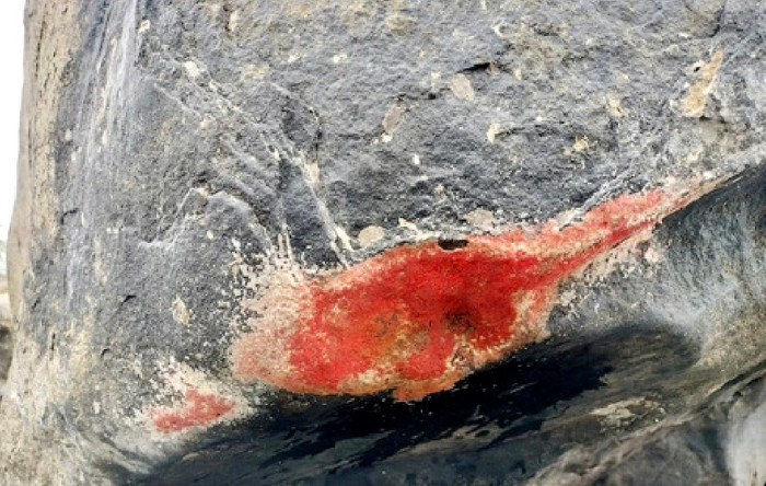 Hiện tượng đá 'nở hoa' gây sốt.