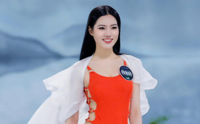 Khó khăn cho đại diện Việt Nam tại Miss Earth 2024 Ảnh 2