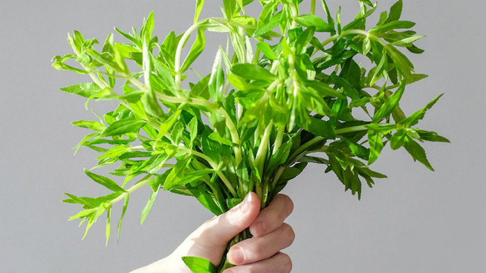 Loại rau này là gia vị không thể thiếu trong nhiều món đặc sản.