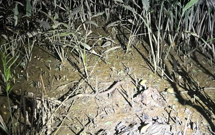 Phát hiện bộ xương người ở Thủ Đức, căn cước công dân ở cạnh thi thể gây bất ngờ Ảnh 2