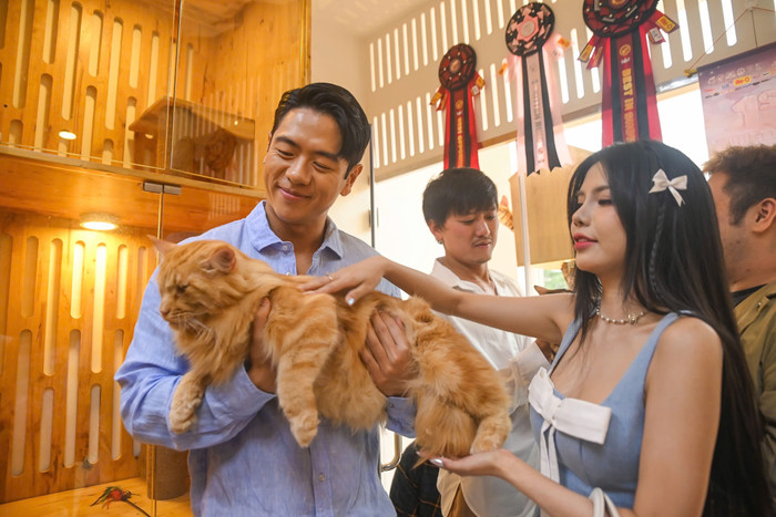 Nam người mẫu Michael Trương và Mai Dora cũng tích cực đồng hồng với các trạm cứu hộ và giải chạy vì thú cưng để mang tới cho các em phúc lợi tốt hơn.
