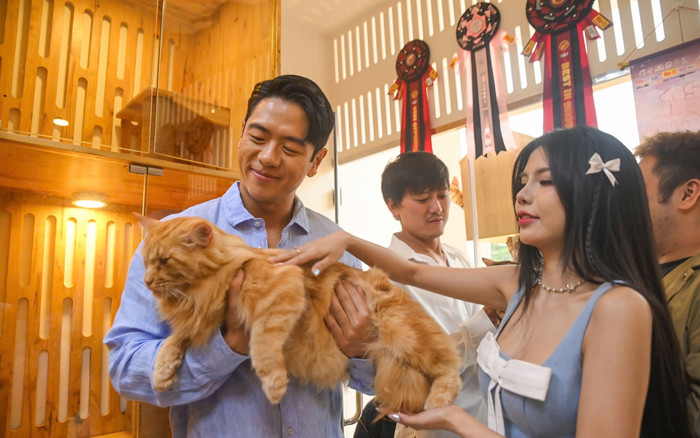 Hồng Ánh, Quách Ngọc Tuyên, Michael Trương… đồng hành ủng hộ các trạm cứu hộ và giải chạy vì chó mèo Ảnh 2