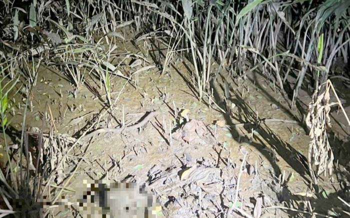 Vụ phát hiện bộ xương người ở Thủ Đức: Hiện trường ra sao? Ảnh 2