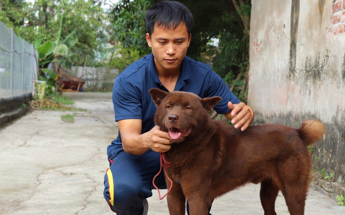 Hiện chúng đã được huấn luyện và rất nghe lời chủ. (Ảnh: Dân Việt)