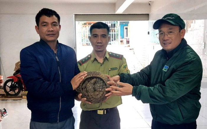 Người dân phát hiện con vật quý hiếm khi đi tập thể dục Ảnh 2