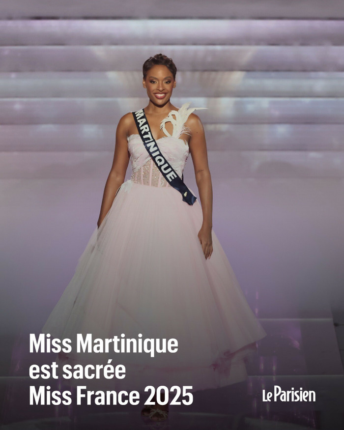 Kết quả cuộc thi Hoa hậu Pháp gây tranh cãi Ảnh 4