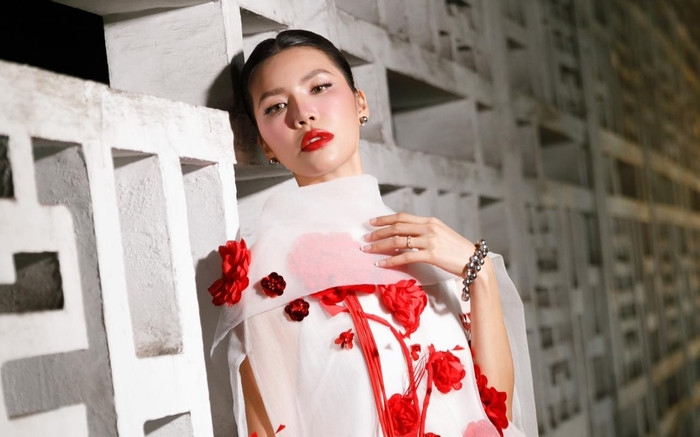 Tình trạng sức khỏe đáng báo động của siêu mẫu Minh Tú Ảnh 2