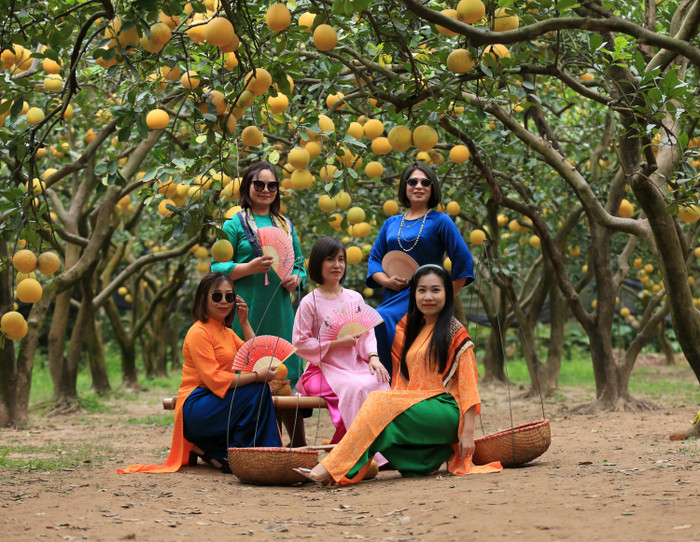 Chị Bích Đào (trú TP. Hạ Long, tỉnh Quảng Ninh) cho biết, nhóm của chị gồm 5 người, tự lái xe ô tô vượt hơn 170km từ Quảng Ninh xuống vườn bưởi Diễn ở Hà Nội để tham quan, chụp ảnh. 'Đây là lần đầu tiên chúng tôi đến một vườn bưởi Diễn nhiều quả và đẹp như vậy. Khi đến đây, chúng tôi ai nấy cũng đều cảm thấy rất vui khi được thư giãn, hòa mình vào thiên nhiên và chụp ảnh lưu giữ kỉ niệm', chị Đào chia sẻ. 