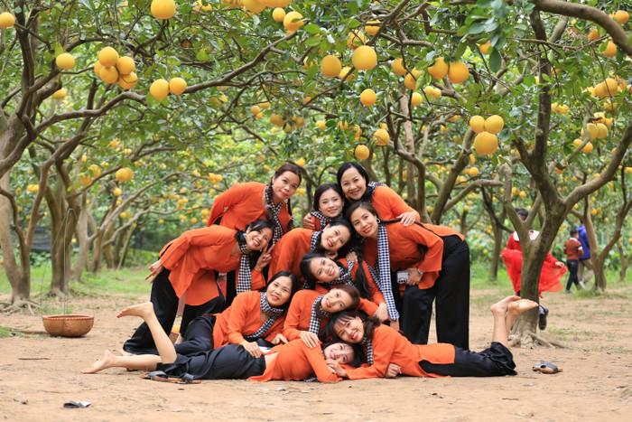 Anh Nguyễn Gia Dũng (chủ vườn bưởi Diễn) cho biết, vườn bưởi của gia đình đã có 30 năm tuổi. Vào cuối tháng 10 âm lịch hàng năm, khi bưởi bắt đầu chín, anh lại mở cửa cho khách đến tham quan, chụp ảnh.