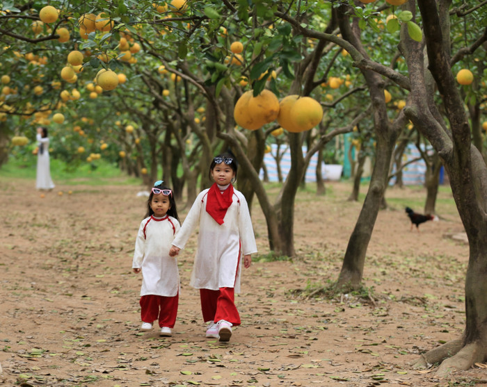Nhiều trẻ em cũng được phụ huynh diện trang phục đẹp đến đây để chụp ảnh