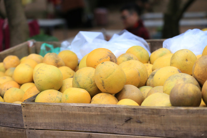 Du khách đến tham quan và chụp ảnh có thể mua bưởi mang về để thưởng thức