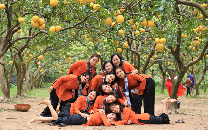 Du khách xúng xính váy áo, 'đội rét' đi chụp ảnh vườn bưởi Diễn ở Hà Nội Ảnh 2