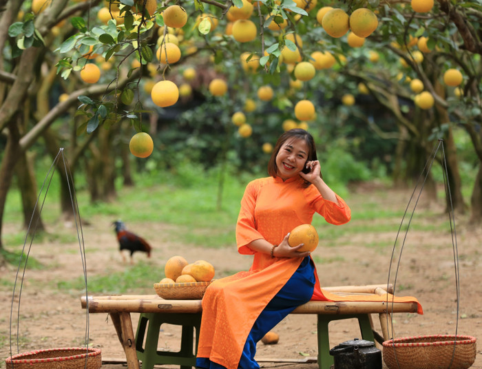 Du khách bày tỏ sự thích thú khi đến với vườn bưởi này