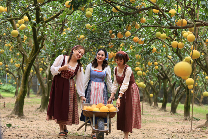 Vườn bưởi Diễn này là địa điểm khá hấp dẫn với du khách ở mọi lứa tuổi