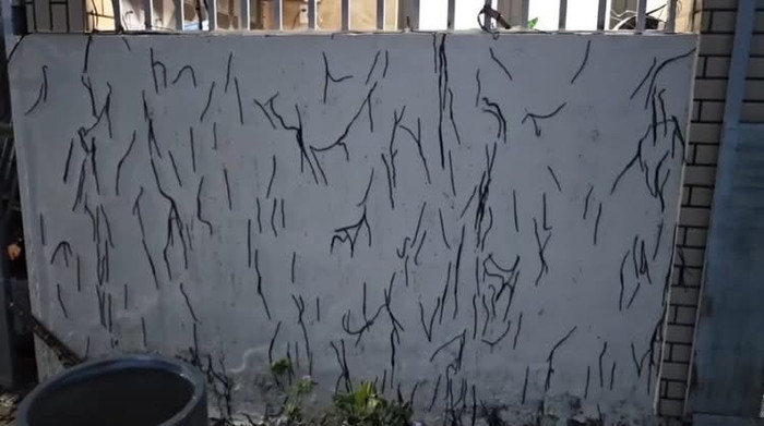 Giun đất tràn ngập đường, leo tường nhà dân - Ảnh: Tin tức Việt Nam