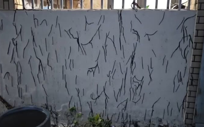 Cảnh tượng giun đất 'tấn công' nhà dân, bò kín đường sau cơn mưa lớn khiến nhiều người giật mình Ảnh 2