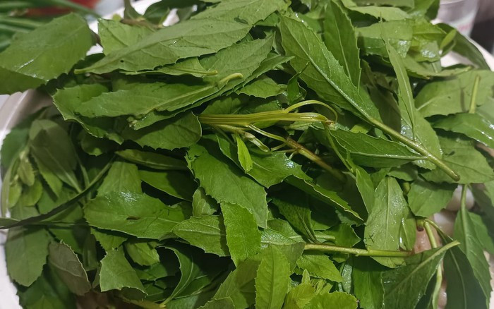 Đặc sản này còn tốt cho sức khỏe.