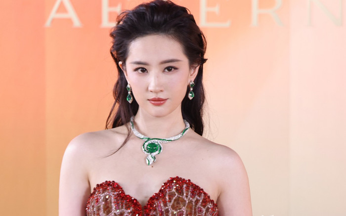 Bắt gặp Lưu Diệc Phi đi ăn tối cùng cha nuôi giàu có Ảnh 2