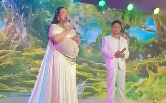 Nhật Kim Anh mang thai lần 2 Ảnh 2