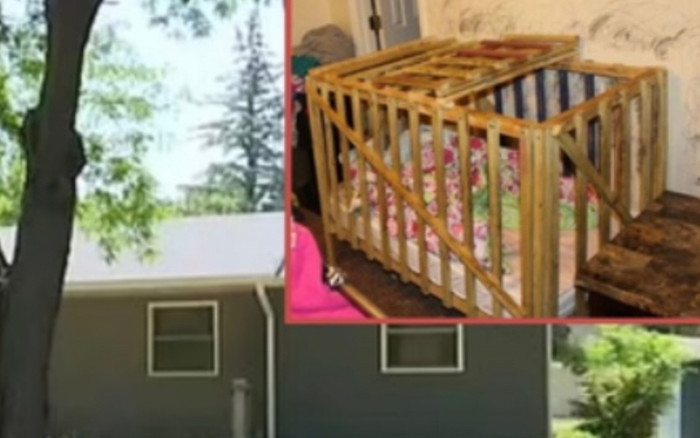 Cặp vợ chồng nhốt 4 con trong 'chuồng' bạo hành suốt 4 năm, nghe lý do gây bàng hoàng Ảnh 2