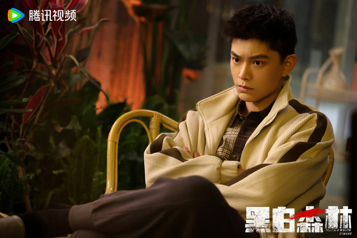 Đinh Vũ Hề trong Khu Rừng Đen Trắng.