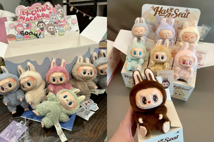 Giới trẻ đô xô săn lùng, sưu tầm các mẫu Labubu.