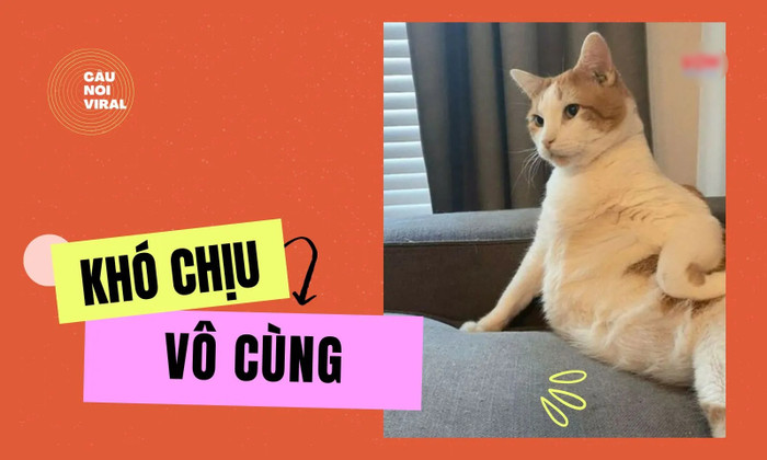 Khó chệu vô cùng được hiểu là khó chịu vô cùng.