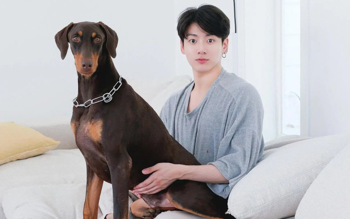 JungKook bị nhiều tài khoản lạ tấn công Ảnh 2