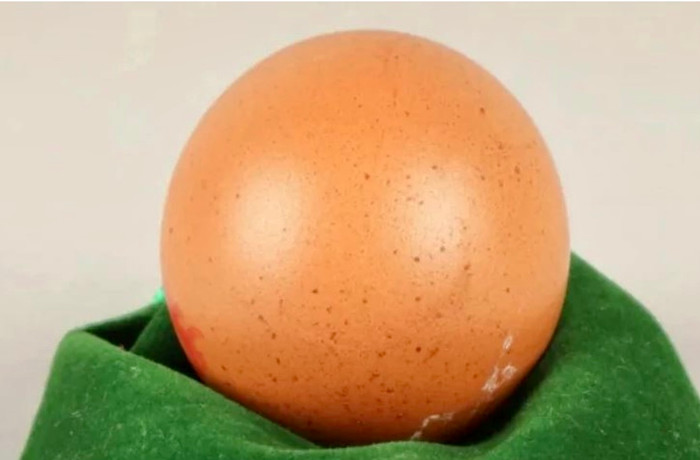 Quả trứng siêu độc đáo giúp gây quỹ 161 triệu đồng cho tổ chức từ thiện.