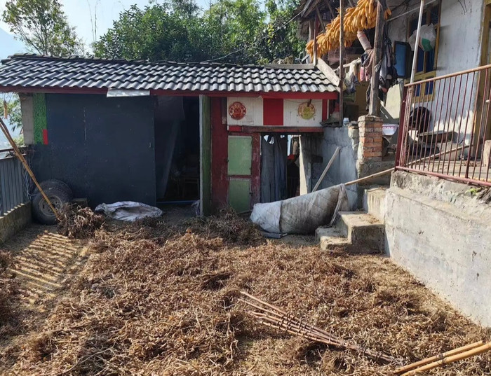 Chó sủa dồn dập lúc bình minh, người phụ nữ bị gấu bất ngờ lao vào tấn công.