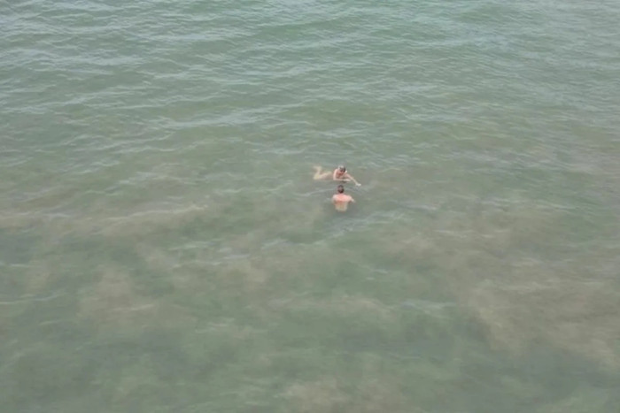 Đi tắm biển cùng gia đình, người phụ nữ bị con 'thủy quái' bí ẩn tấn công Ảnh 1