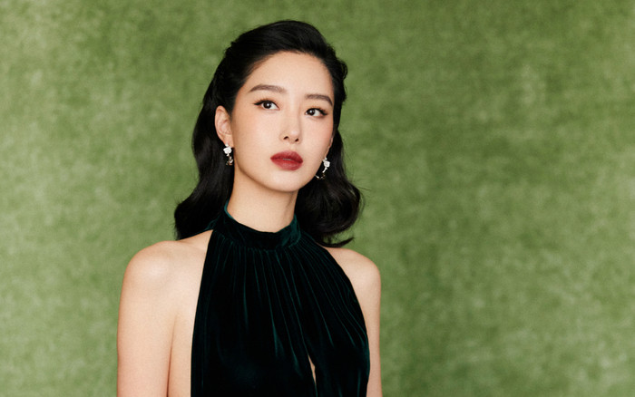 Nữ diễn viên dám chèn ép Lưu Diệc Phi và cái kết đắng khi yêu đại gia đáng tuổi bố Ảnh 2