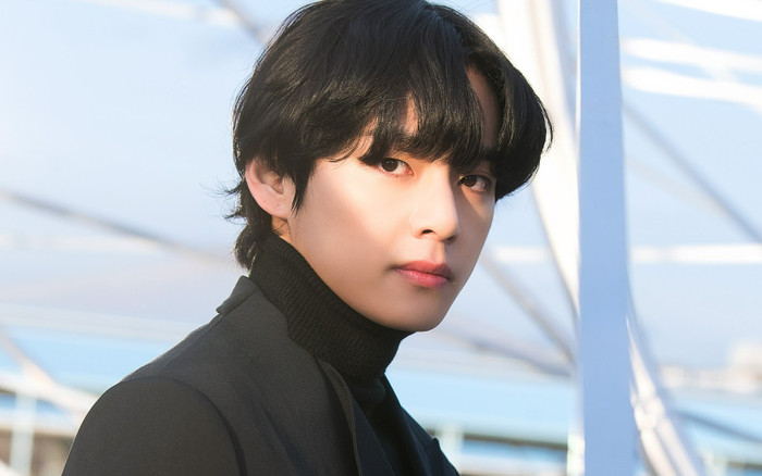 Tin buồn của V (BTS) Ảnh 2