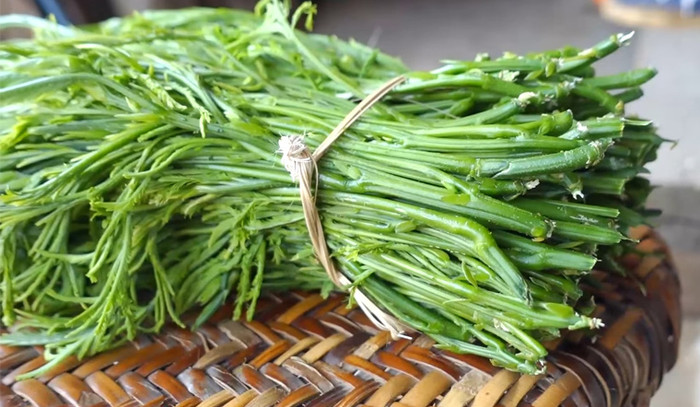 Nó mang hương vị độc lạ.