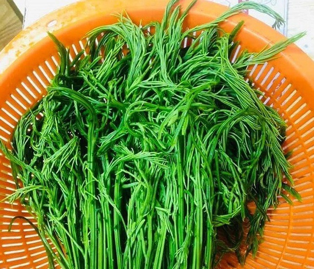 Rau thối là đặc sản của Tây Bắc.