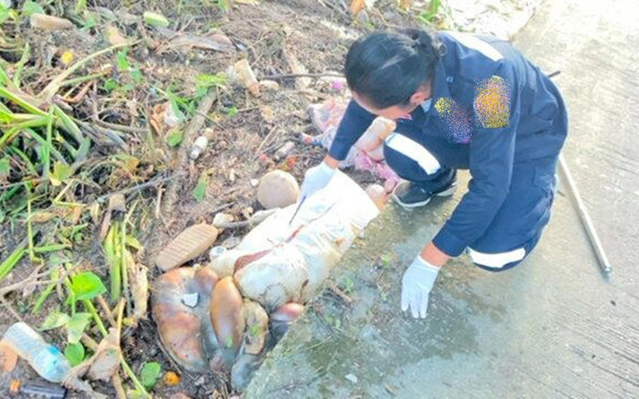Phát hiện 2 bao tải lạ bốc mùi, người dân bức xúc khi chứng kiến thứ bên trong Ảnh 2