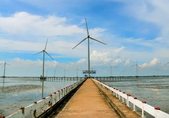 Cánh đồng điện gió tại Bạc Liêu. (Nguồn: icon.com.vn)
