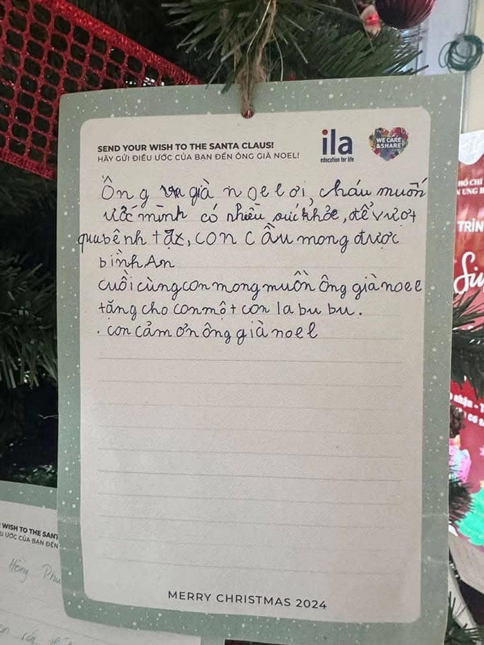 Những điều ước nguệch ngoạc của bệnh nhi Ung bướu TPHCM treo trên cây thông Noel Ảnh 5