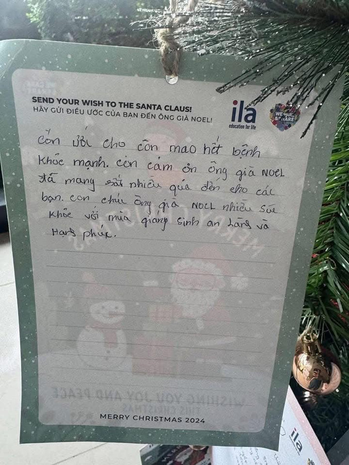 Những điều ước nguệch ngoạc của bệnh nhi Ung bướu TPHCM treo trên cây thông Noel Ảnh 4