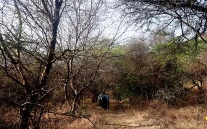 Đi tham quan, 155 học sinh và giáo viên mắc kẹt, ngủ giữa rừng đầy hổ và voi Ảnh 2