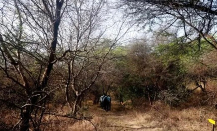 Chuyến tham quan kinh hoàng, hơn 100 học sinh mắc kẹt giữa rừng rậm nguy hiểm.