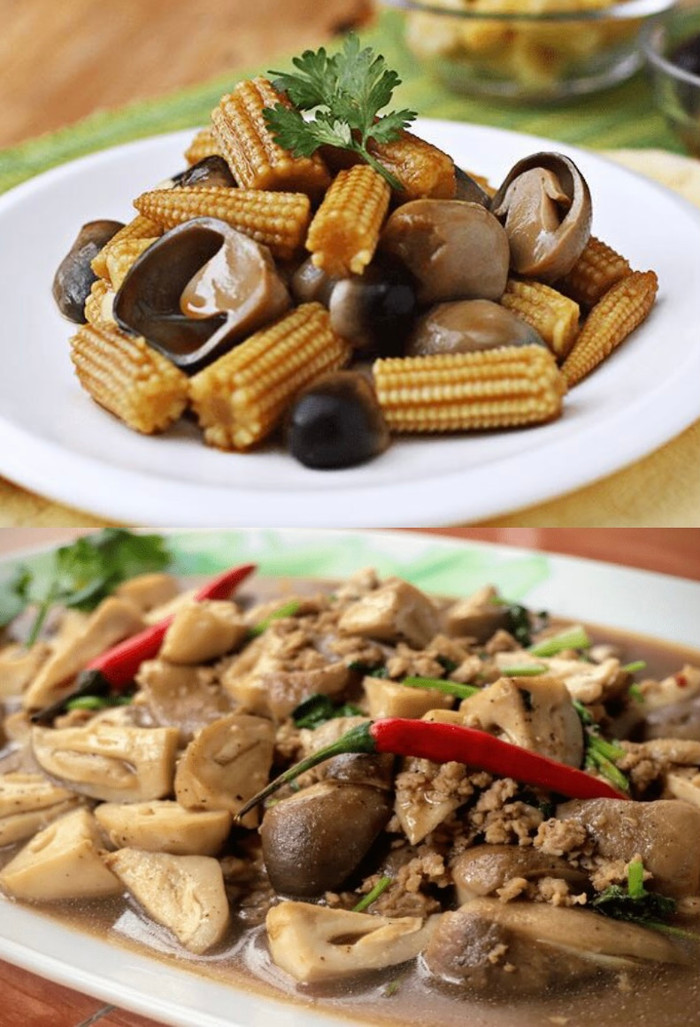 Thêm nấm rơm vào bữa ăn: Bí quyết vàng cho sức khỏe toàn diện.