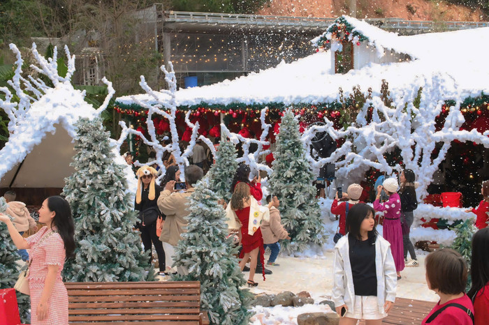 Phố núi Đà Lạt ngập tràn không khí Giáng sinh, giới trẻ đổ xô đi check-in với tuyết Ảnh 7