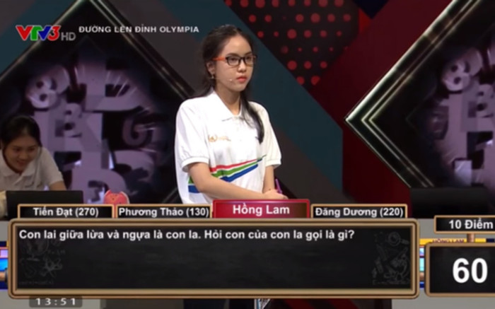 'Con lai giữa lừa và ngựa là con la, vậy con của la gọi là gì?', nam sinh Olympia trả lời đúng bất ngờ Ảnh 2