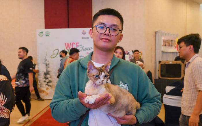 Mèo vài trăm triệu đồng tham gia thi hoa hậu quốc tế tại TPHCM Ảnh 2