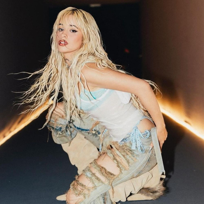 Camila Cabelo từng là những cái tên thống trị làng nhạc thế giới một thời, nhưng hiện tại cả hai đều đang kẹt lại giữa dòng chảy âm nhạc. 