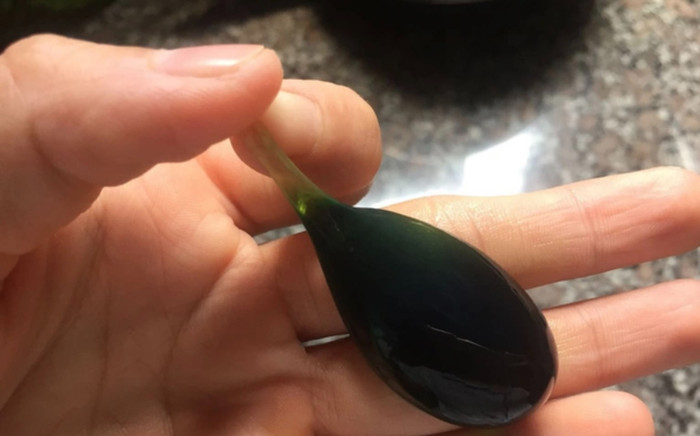 Chàng trai trẻ suýt mất mạng vì ăn thứ này có trong cá, độc hơn thạch tín Ảnh 2